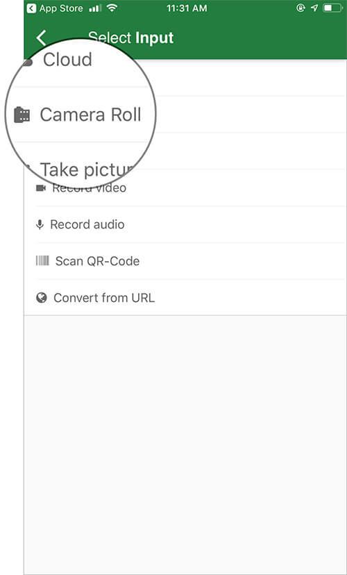 Tap on Camera Roll in File Converter App