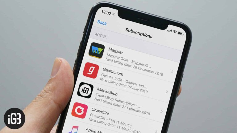 How to Manage Subscriptions on iPhone and iPad: Two Methods Explained