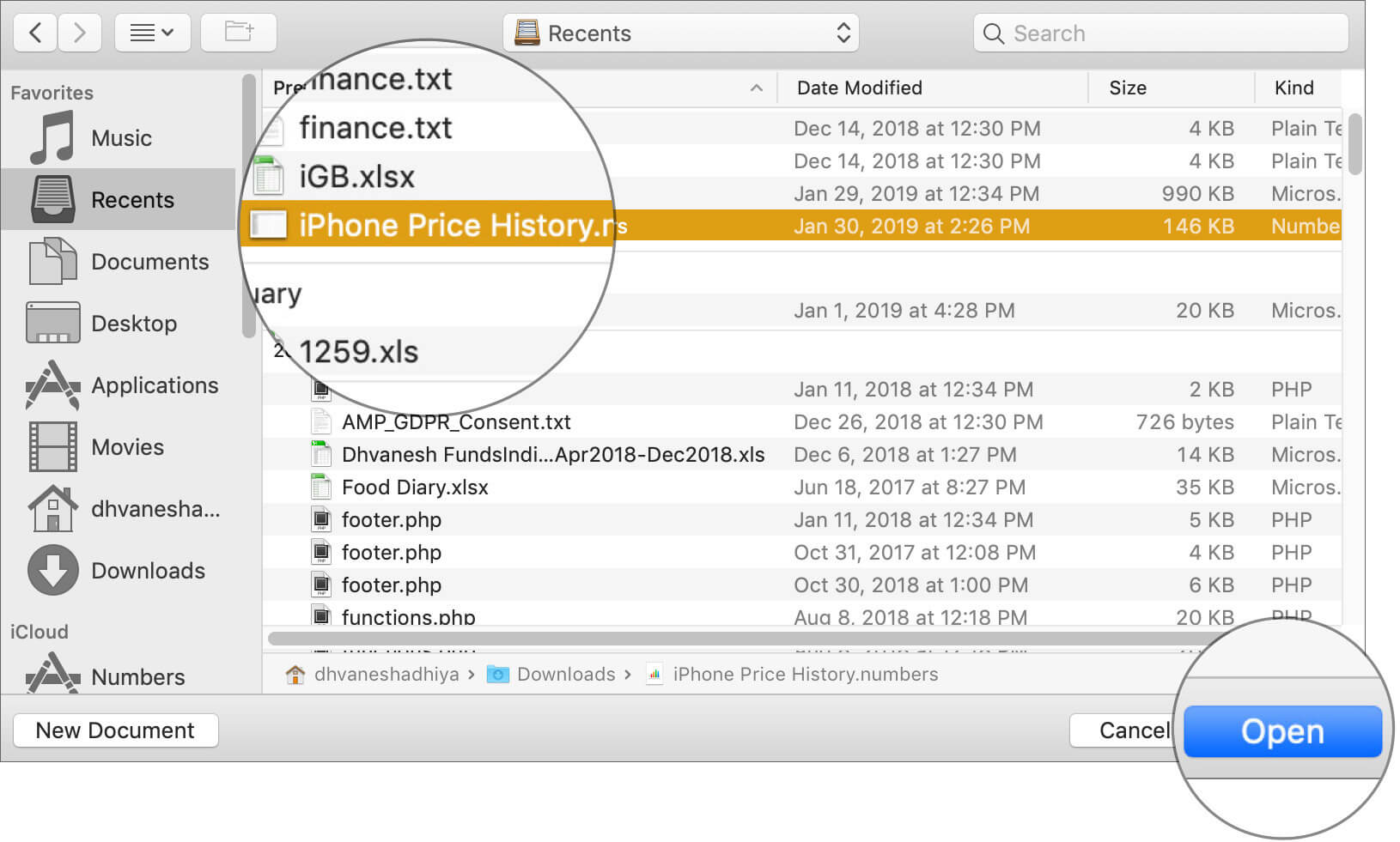 Open document you wish to have the previous version in mac numbers app