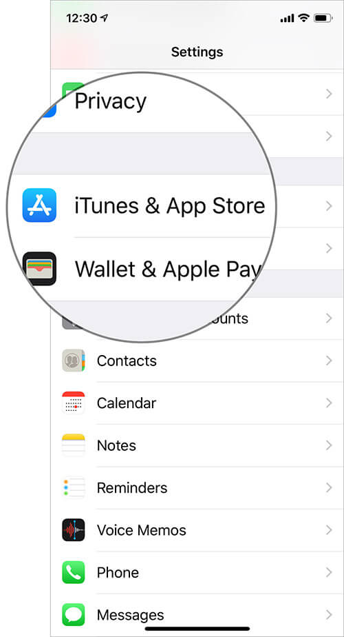Tap on the iTunes & App Store in iPhone Settings