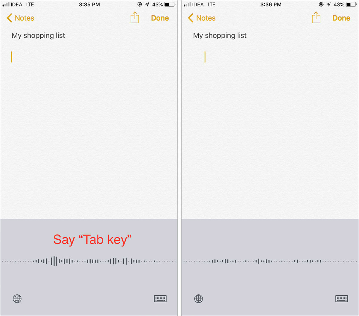 Say Tab Key to Insert a Tab Character on iPhone or iPad