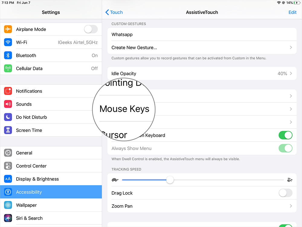 Tap on Mouse Keys in iPadOS Accessibility Settings