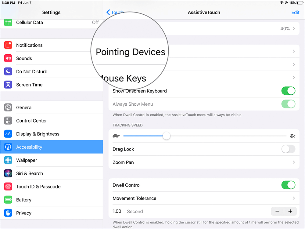 Tap on Pointing Devices on iPad