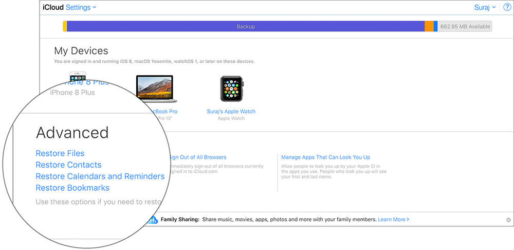 Under advanced there are multiple options to recover deleted files from icloud on mac Under Advanced, There are multiple options to Recover Deleted Files from iCloud on Mac