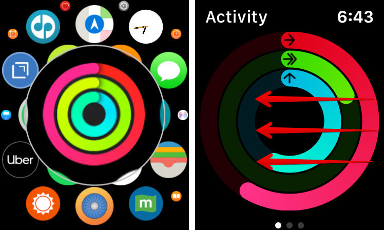 How to View Apple Watch Activity Awards on iPhone - 83