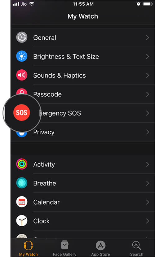Select Emergency SOS in Watch App in iPhone