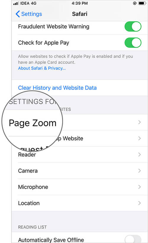 Select Settings for Websites and Tap on Page Zoom in iOS 13 Safari App