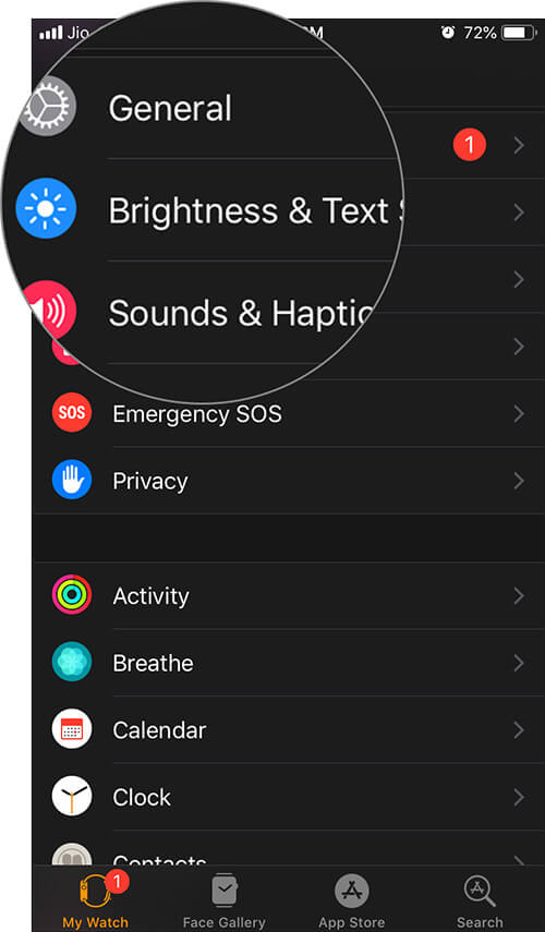 Tap on Brightness and Text Size in Watch App on iPhone