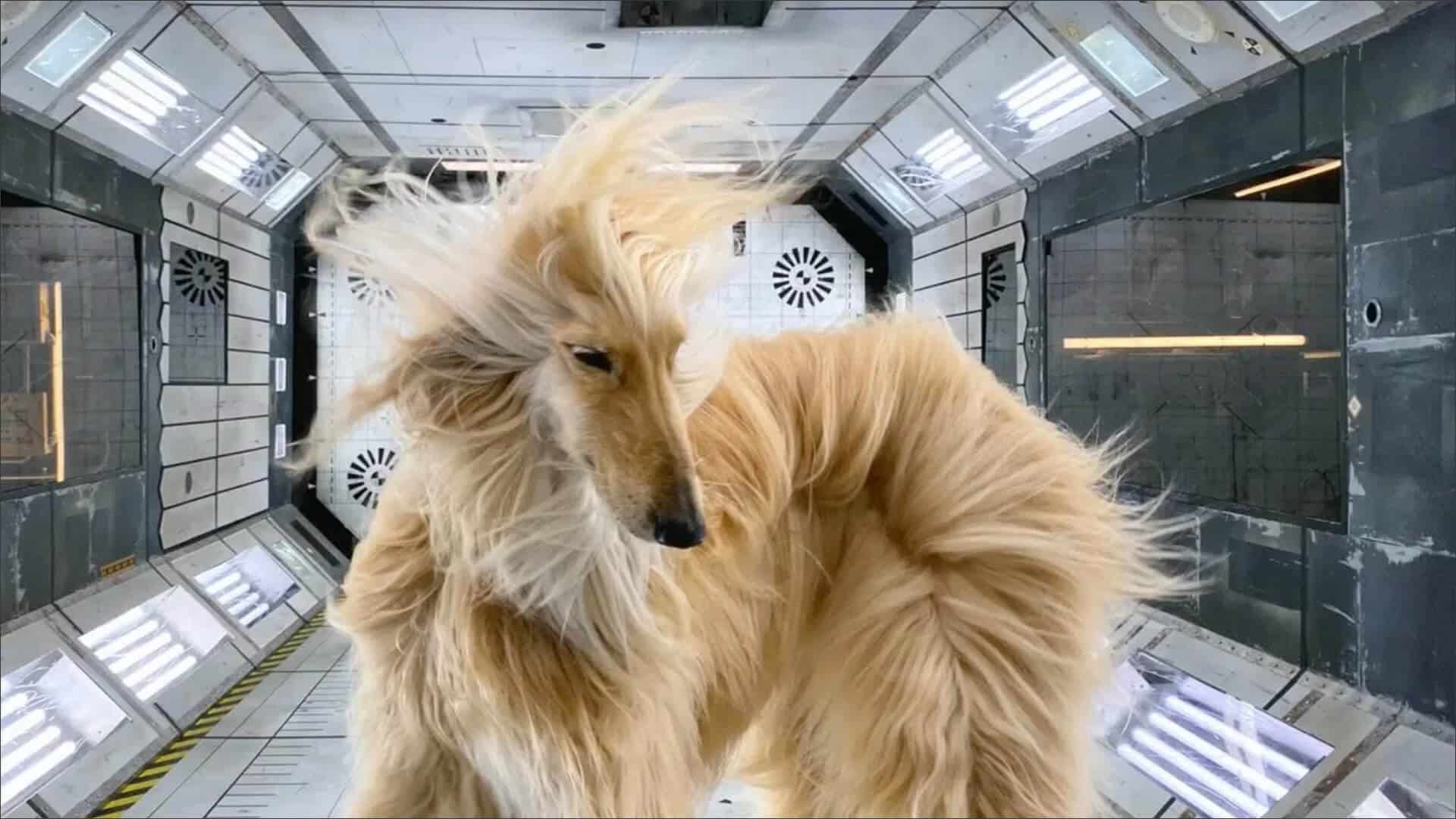 Best iPhone 11 Pro Max camera tips and tricks - 98