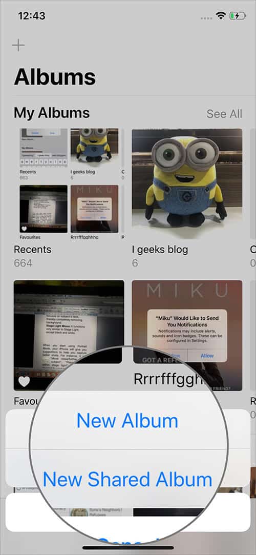 Select Preferred Option to Create A New Album on iPhone in iOS 13 Photos App