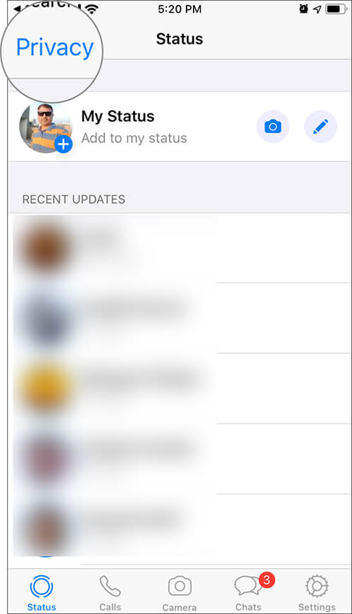 Select Privacy to Hide WhatsApp Status on iPhone