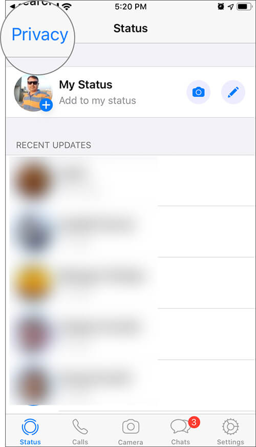 How to Hide WhatsApp Status from Some Contacts on iPhone - 69