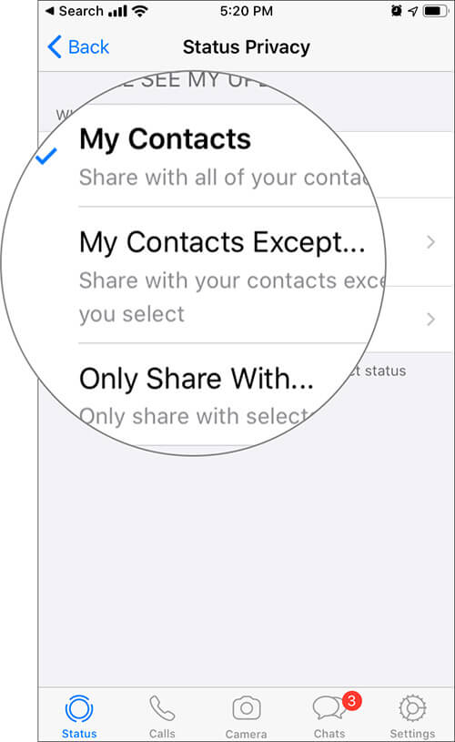 Select Status update from three options to Hide WhatsApp Status on iPhone