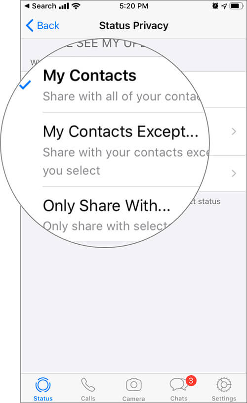How to Hide WhatsApp Status from Some Contacts on iPhone - 56