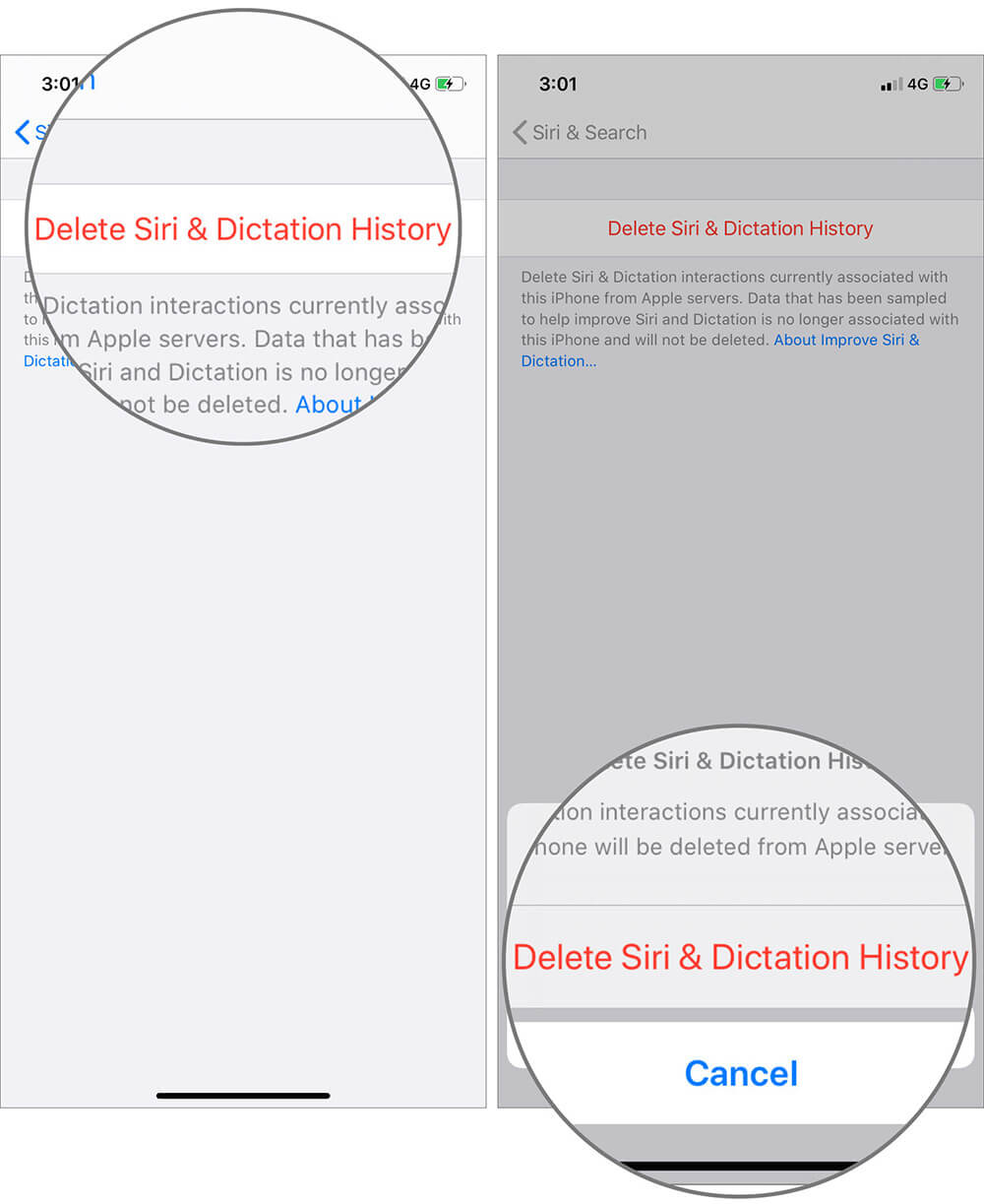 Confirm Request by Tapping on Delete Siri and Dictation History in iOS 13 Device
