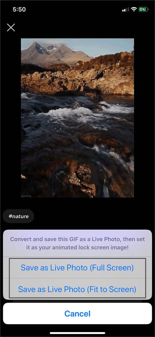 Select Preferred Option to Save Live Photo on iPhone