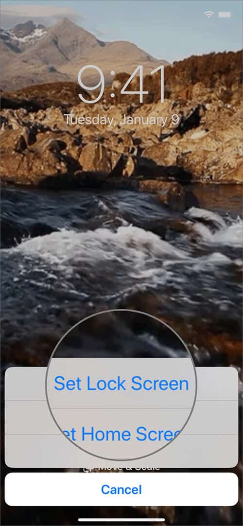 Tap on Set Lock Screen Option to Set Your GIF as Live Wallpaper on iPhone