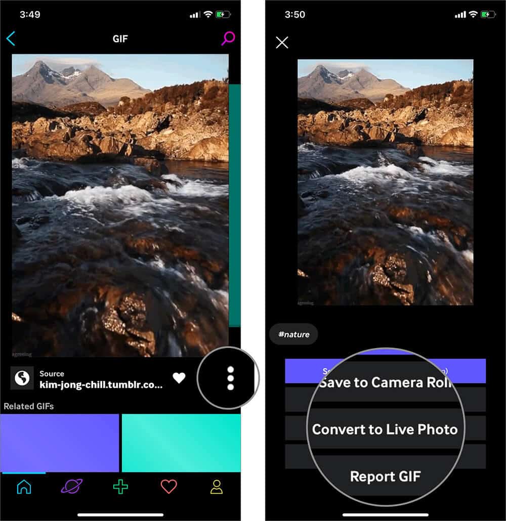 Tap on Hamburger icon and Select Convert to Live Photo in GIPHY App on iPhone