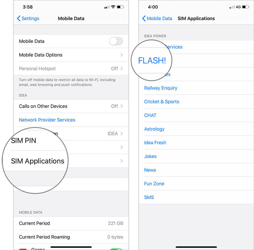 Tap on SIM Applications and FLASH in iOS 13 Settings