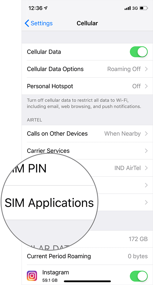 Tap on sim applications in iphone settings