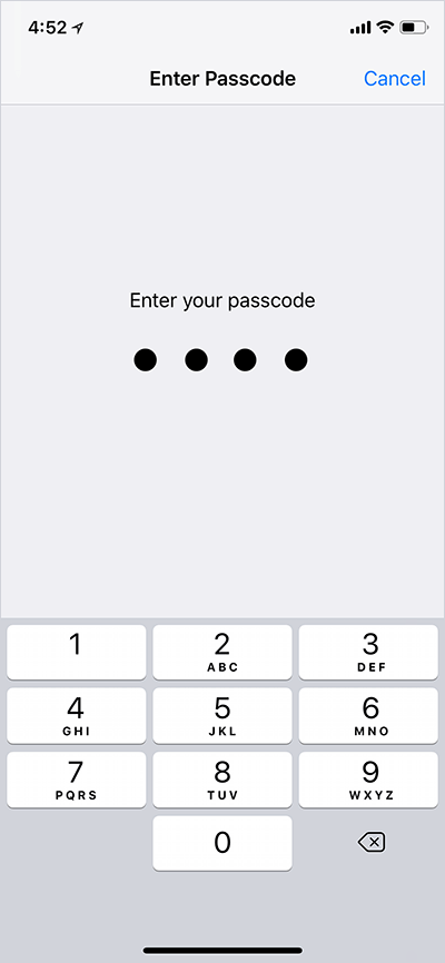 Enter Passcode on Your iPhone or iPad