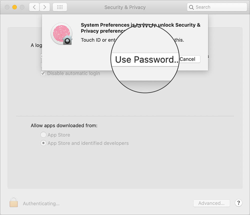 Click on Use Password to Unlock Security and Privacy Preferences on Mac