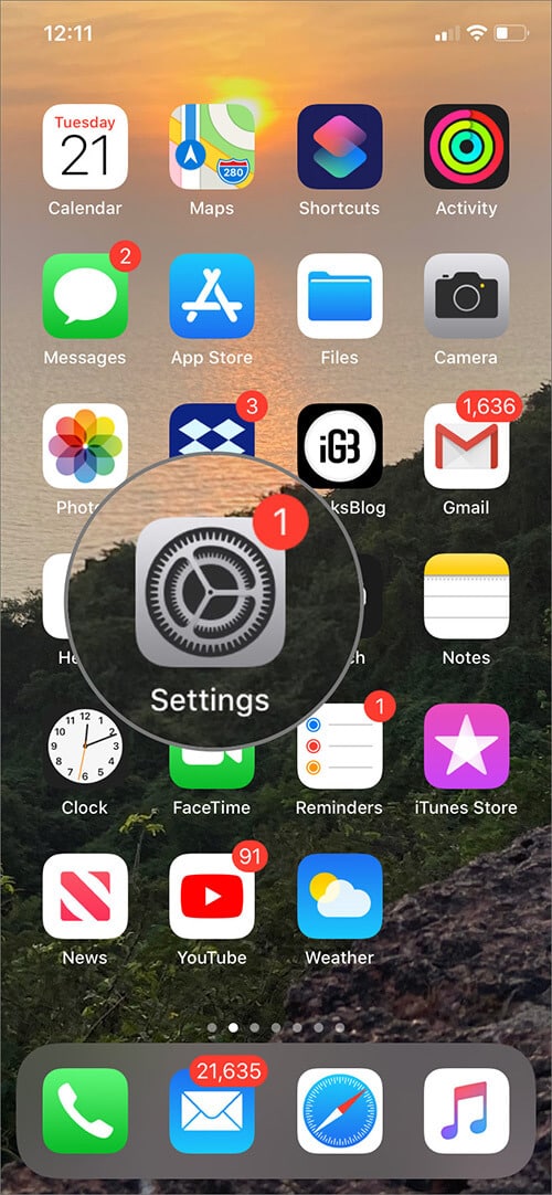 Open Settings App on iPhone