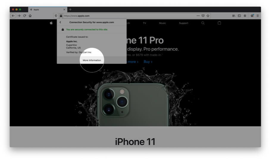 Choose More Information to Check Certificate in Firefox