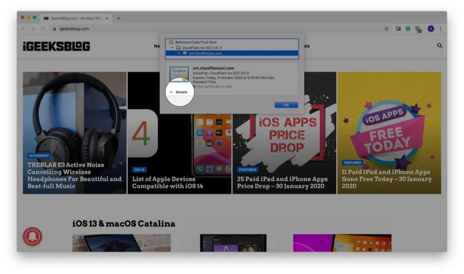 Click on details to view digital certificate in chrome Click on Details to View Digital Certificate in Chrome