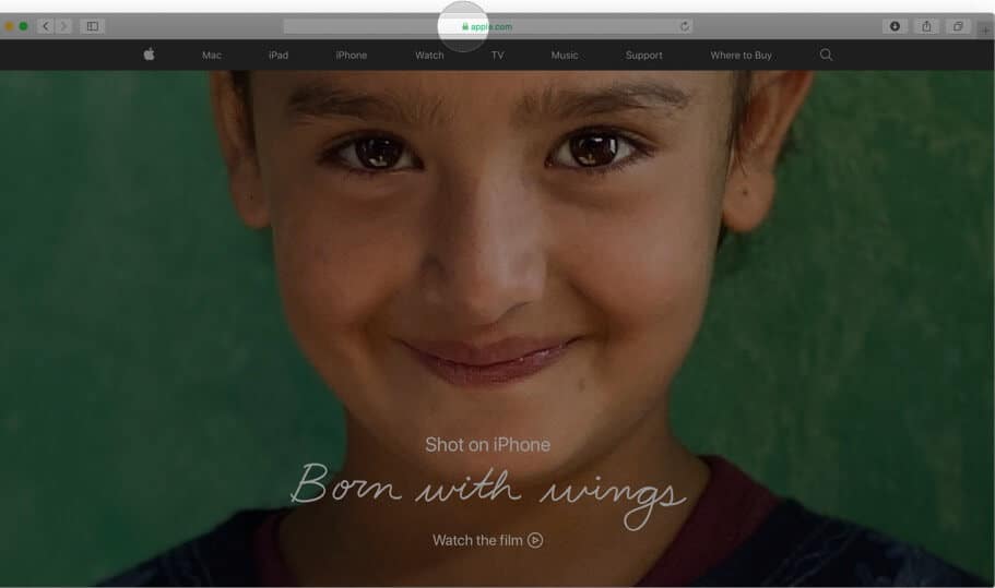 Click on Padlock icon in Safari on Mac