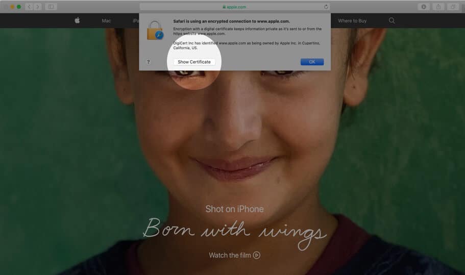 Click on Show Certificate in Safari on Mac