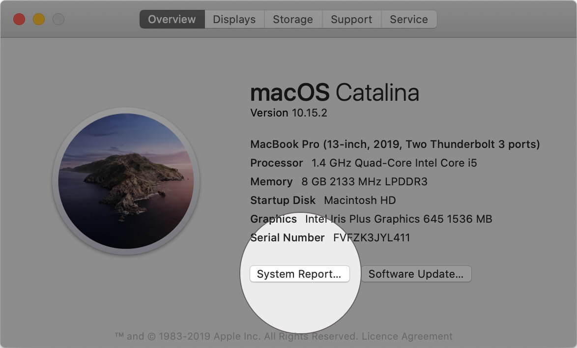 Click on System Report in About This Mac