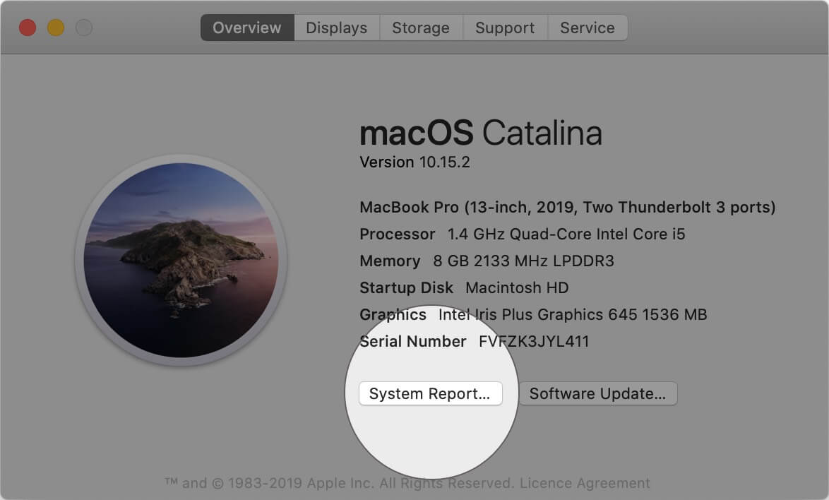 Click on System Report in About This Mac