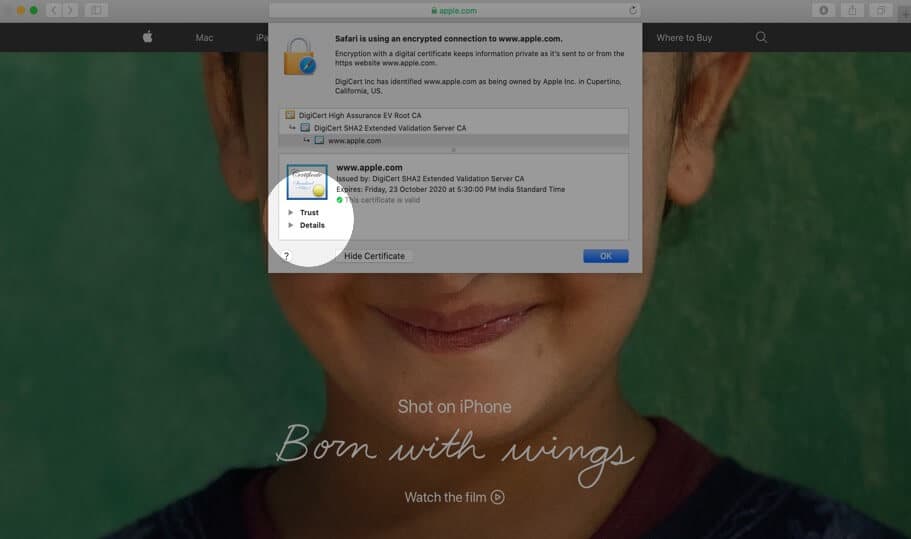 Click on trust and details to view digital certificate in safari on mac Click on Trust and Details to View Digital Certificate in Safari on Mac