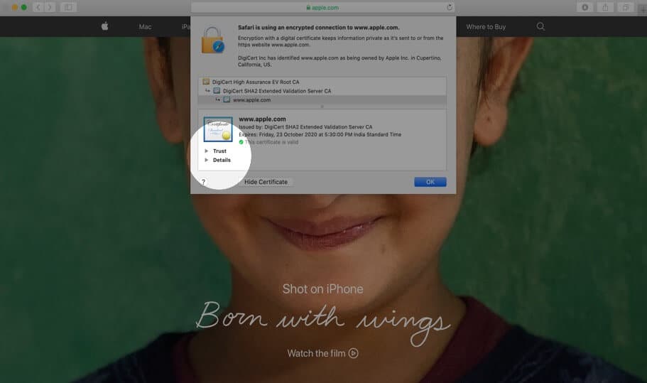 Нажмите на Trust и Details, чтобы просмотреть цифровой сертификат в Safari на Mac