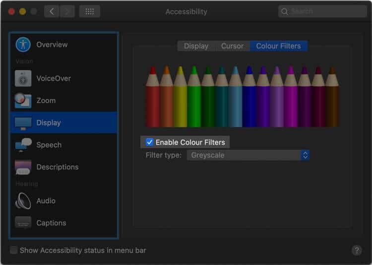 Enable Color Filters under display from Accessibility Setting on Mac