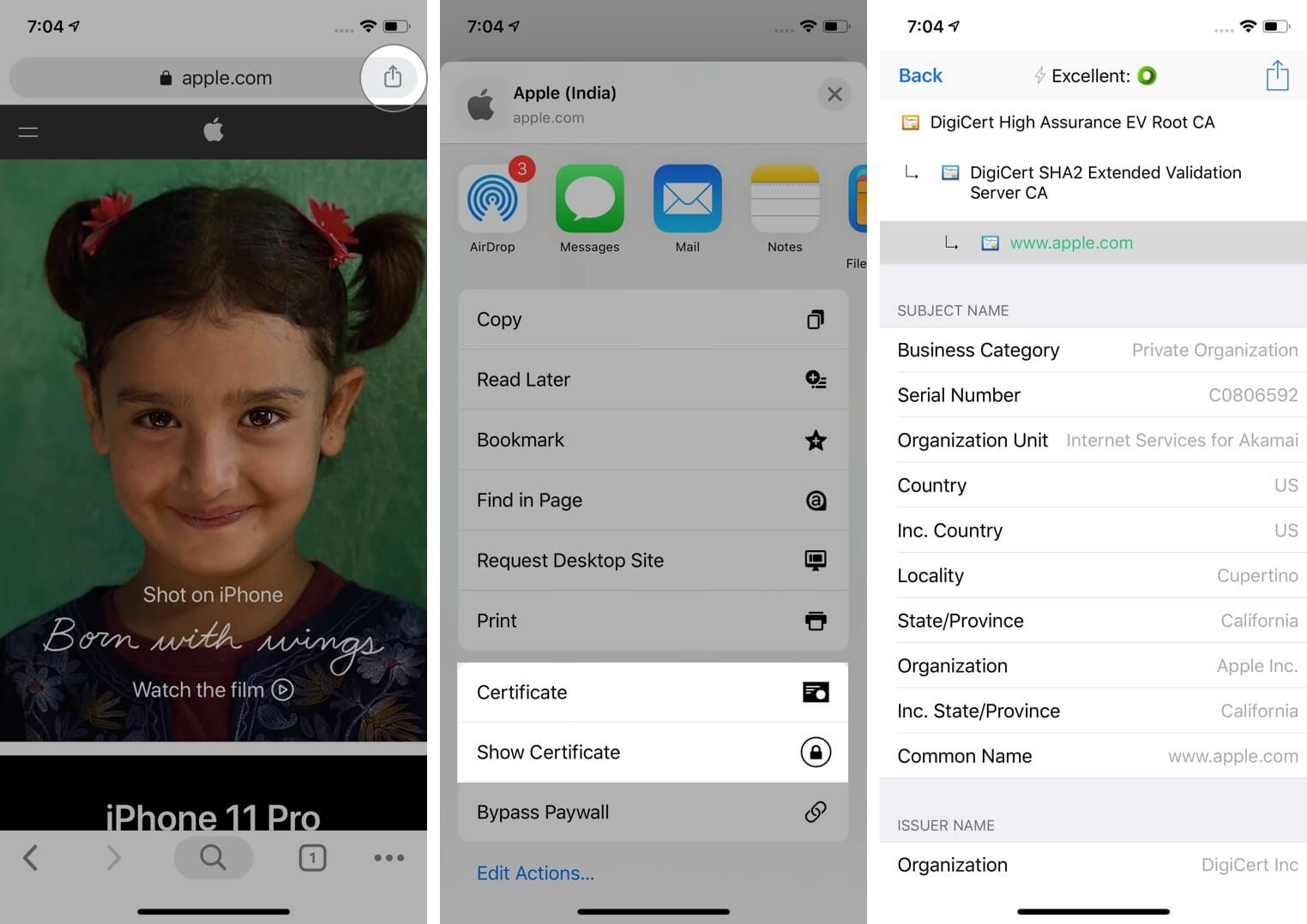 Tap on share and select show certificate in chrome app on iphone Tap on Share and Select Show Certificate in Chrome App on iPhone