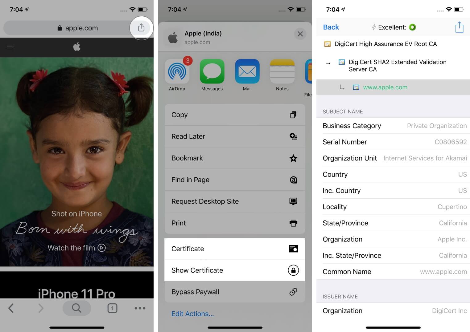 Нажмите «Поделиться» и выберите «Показать сертификат» в приложении Chrome на iPhone.