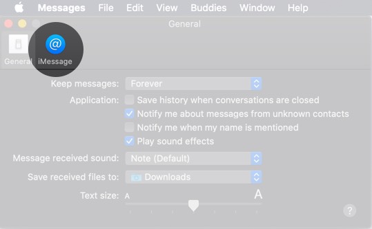 Click on iMessages Tab on Mac