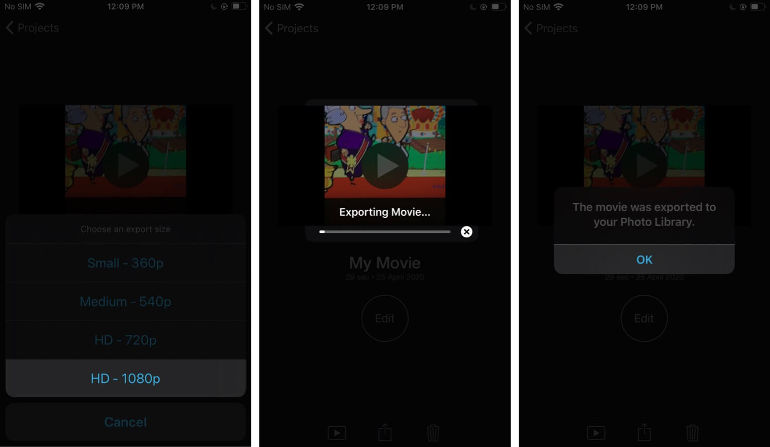 Add Music to Video on iPhone using iMovie