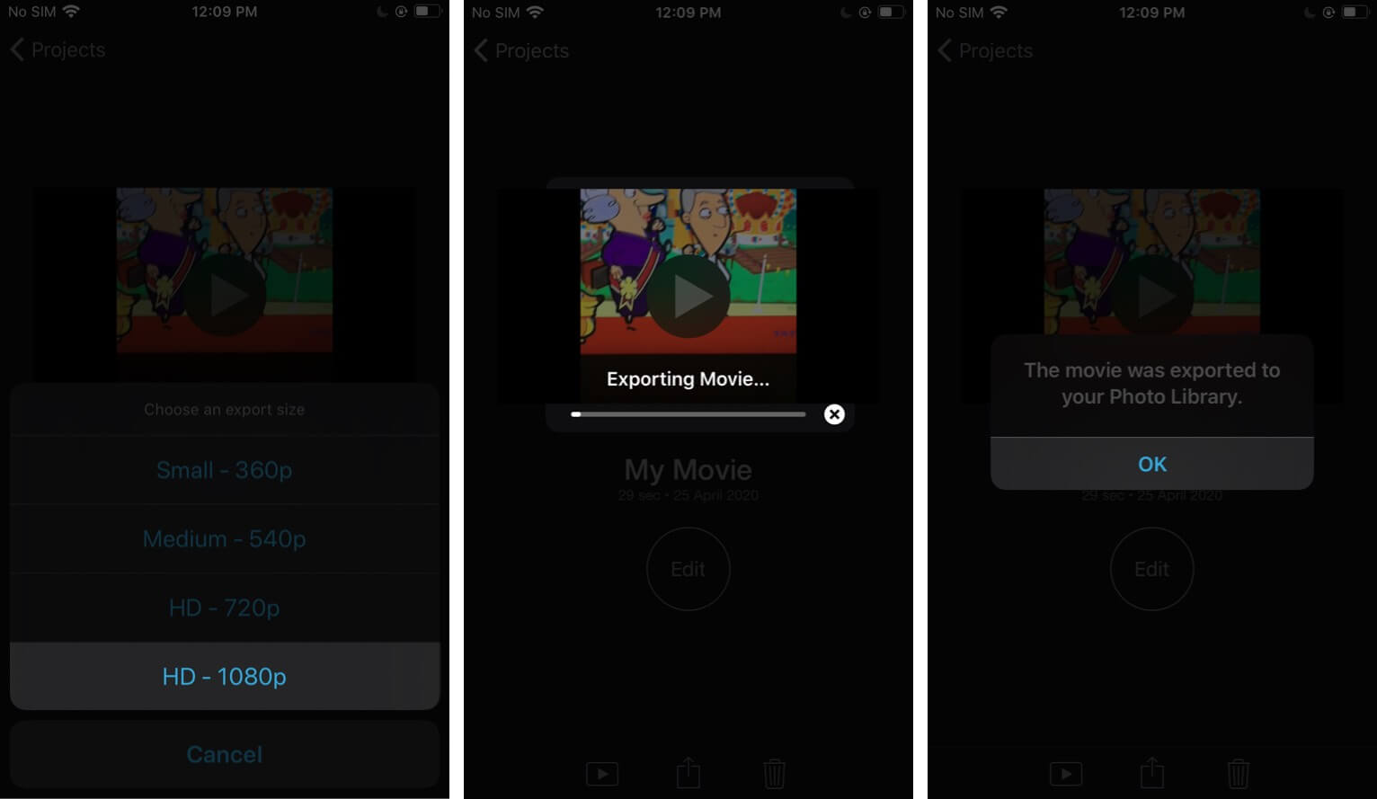 How to Add Music to Videos on iPhone  A Step by Step Guide - 49
