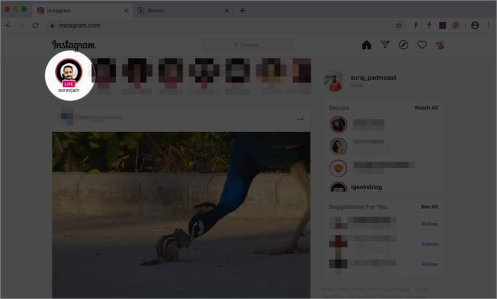 Click on Live Stream Video in Instagram Web