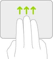 Basic Trackpad and Mouse Gestures for iPad - 70