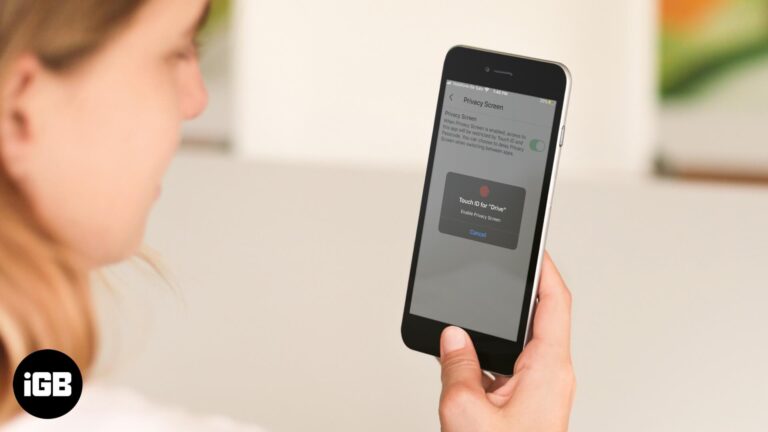How to Lock Google Drive on iPhone and iPad using Privacy Screen Feature
