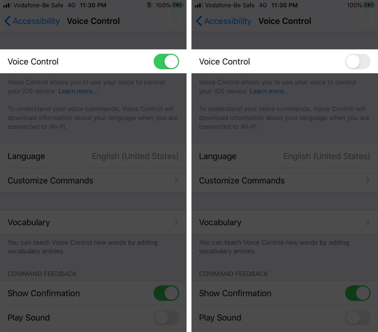 Turn Off Voice Control on iPhone