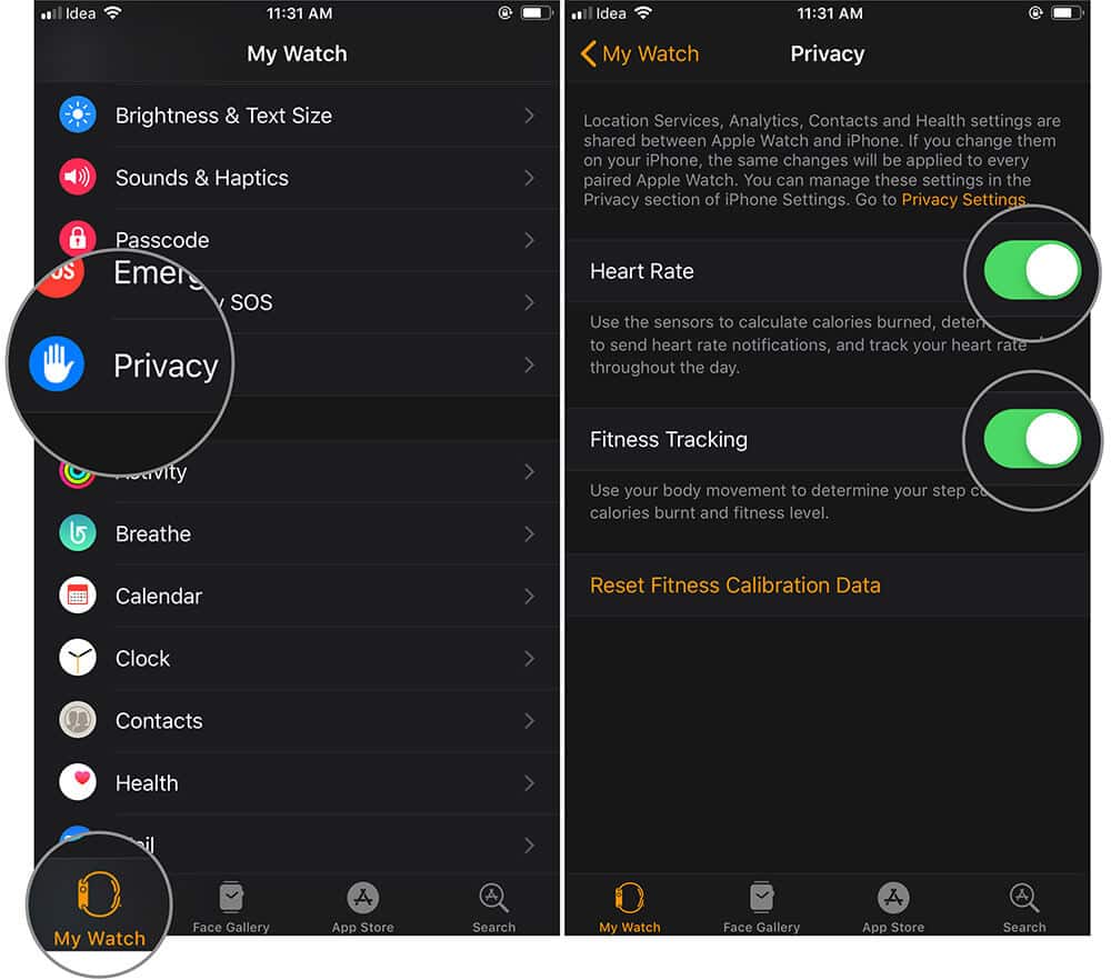 Turn ON Fitness Tracking and Heart Rate in iOS Watch App Settings