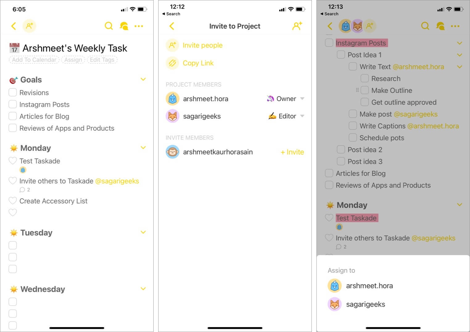 Invite team members to project in taskade workspace app