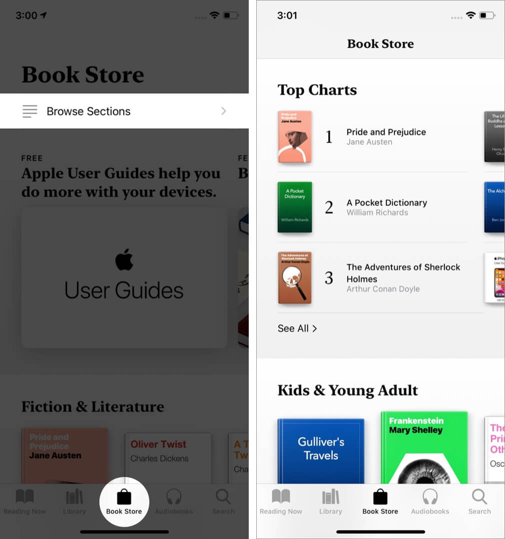 приложение для открытия книг нажмите на вкладку книжного магазина и нажмите для просмотра разделов на iphone