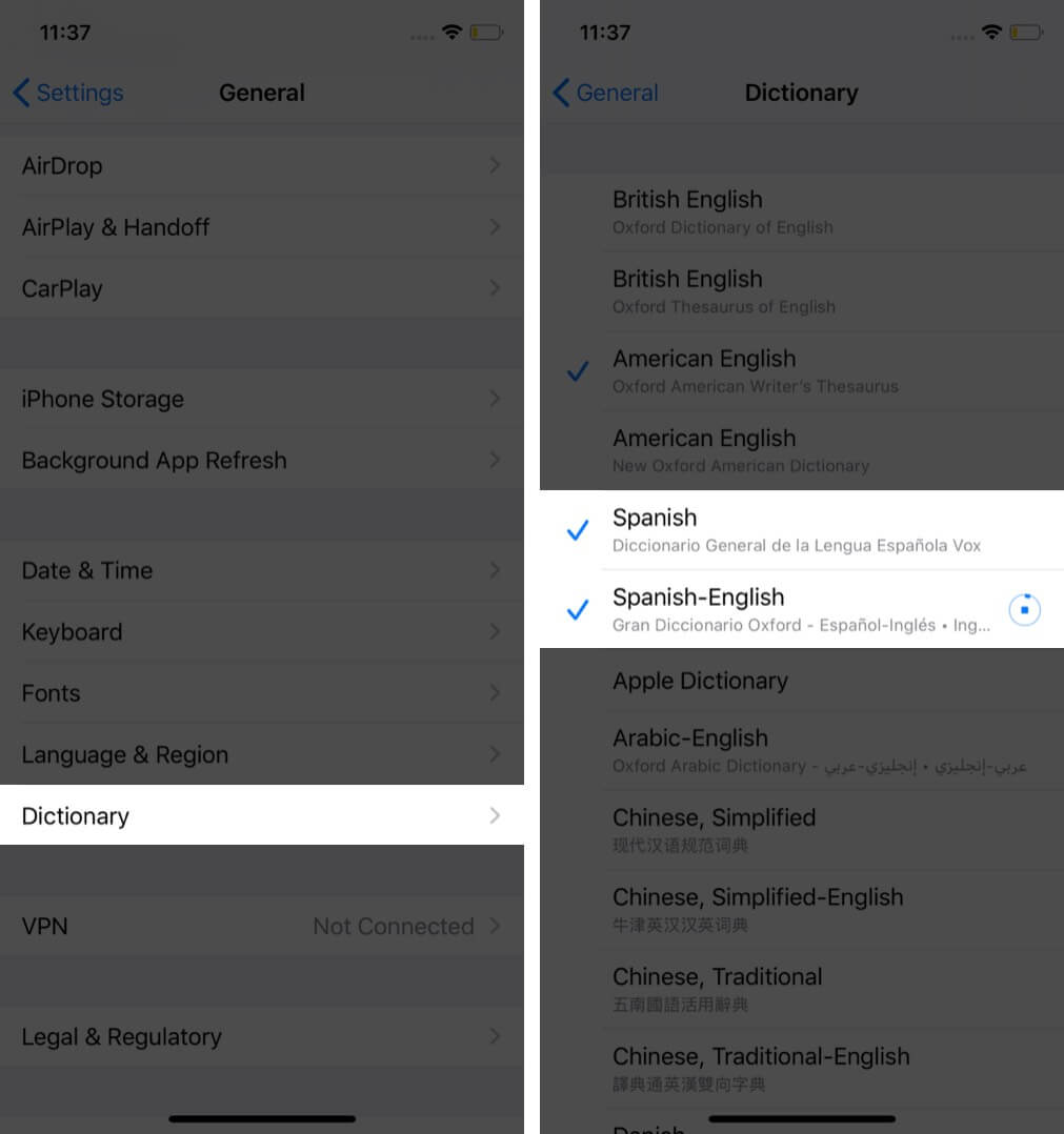 tap on dictionary and select language to download on iphone