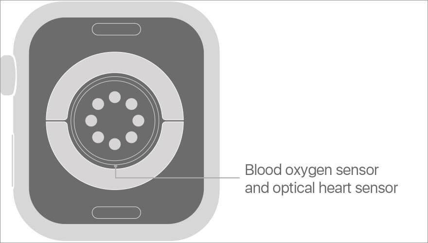 how blood oxygen app works